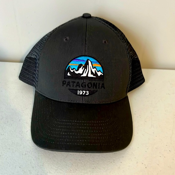 Patagonia Other - Patagonia snap back adjustable hat for men